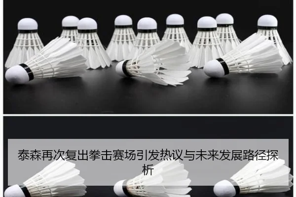 tai-sen-zai-ci-fu-chu-quan-ji-sai-chang-yin-fa-re-yi-yu-wei-lai-fa-zhan-lu-jing-tan-xi-2-746.jpg
